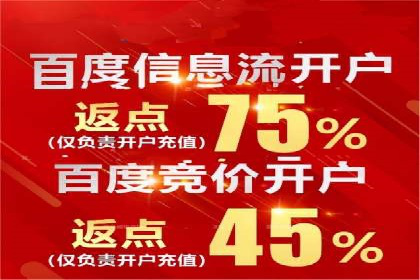 百度竞价赚钱之道：案例分析及技巧